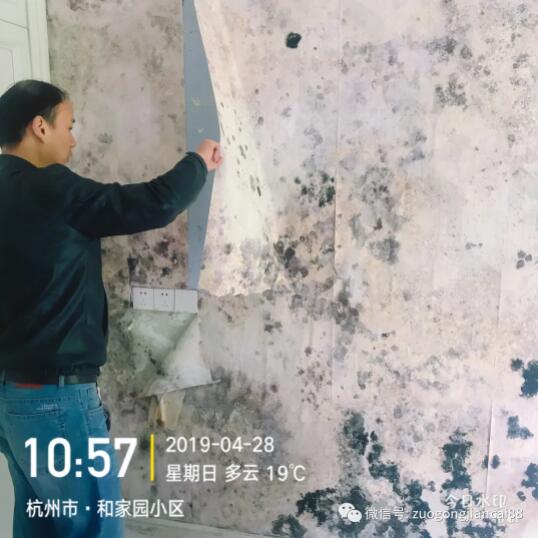 左工建材13年只做一件事 —— 专注别墅防水防潮