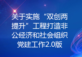 关于实施“双创两提升”工程打造非公经济和社会组织党建工作2.0版