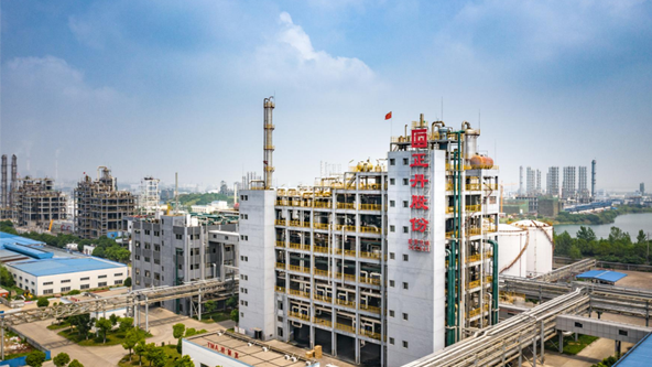 【理事单位】江苏正丹化学工业股份有限公司