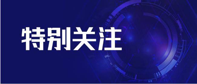 重磅！从中央政治局会议看2025年经济工作新动向